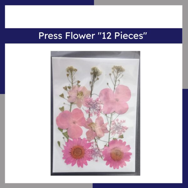 Press Flower 12 Pieces