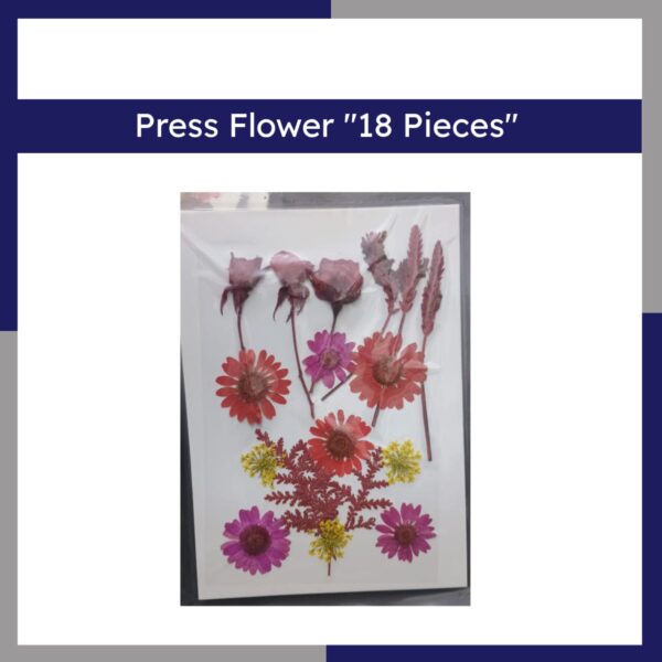 Press Flower 18 Pieces