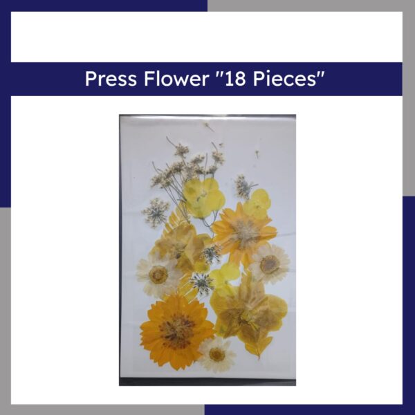 Press Flower 18 Pieces