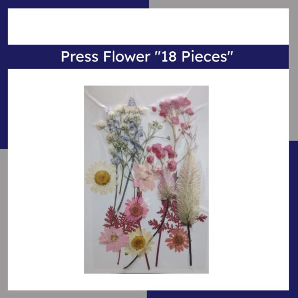Press Flower 18 Pieces
