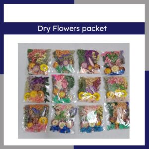 Random 1 packet of Dry Flowers