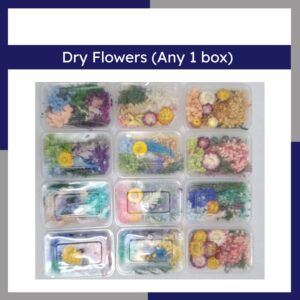 Random 1 Box Of Dry Flowers