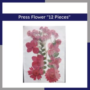 Press Flower 12 Pieces