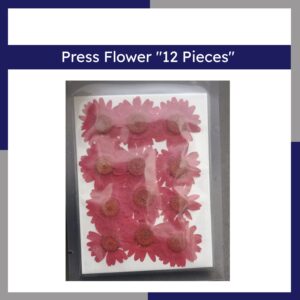 Press Flower 12 Pieces