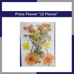 Press Flower 12 Pieces