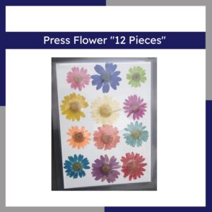 Press Flower 12 Pieces