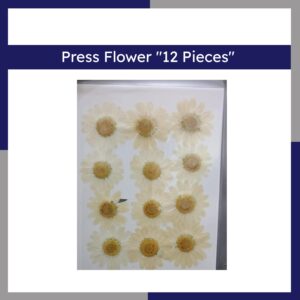 Press Flower 12 Pieces