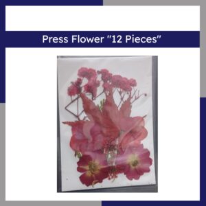 Press Flower 12 Pieces