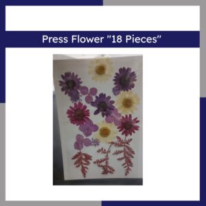 Press Flower 18 Pieces