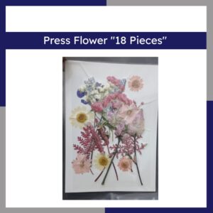 Press Flower 18 Pieces