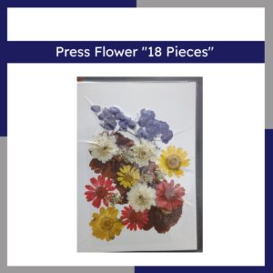 Press Flower 18 Pieces