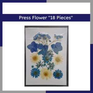Press Flower 18 Pieces