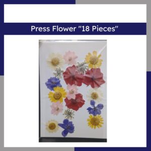 Press Flower 18 Pieces