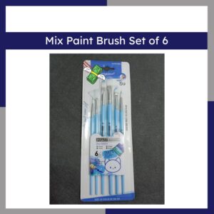 Mix Paint Brush Set Of 6
